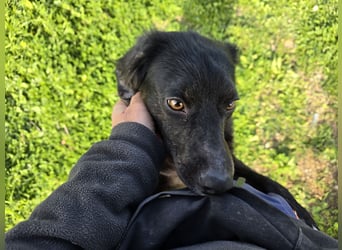 Immo: ein Schatz für die ganze Familie