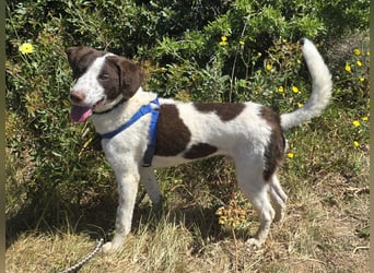 Befanino: ein Unikat zum Verlieben