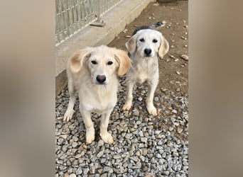 Cameron: kleiner Herzensbrecher