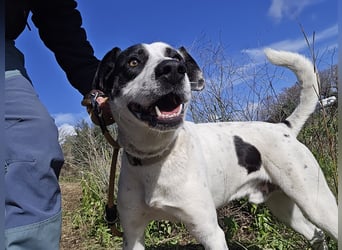 Diddo:  er hatte eine Familie