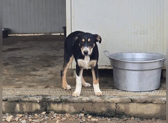 Betty: Hallo, hier bin ich!