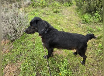 Immo: ein Schatz für die ganze Familie