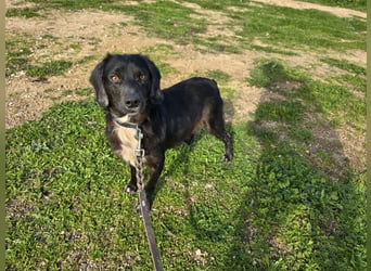 Immo: ein Schatz für die ganze Familie