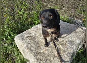 Immo: ein Schatz für die ganze Familie