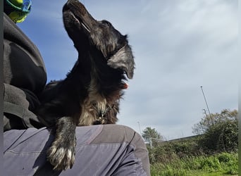 Immo: ein Schatz für die ganze Familie