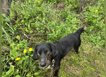 Immo: ein Schatz für die ganze Familie