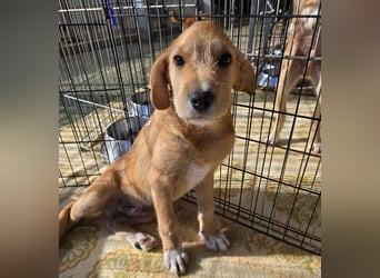 Giovanni: verspielter Lausbub