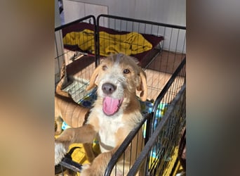 Giovanni: verspielter Lausbub