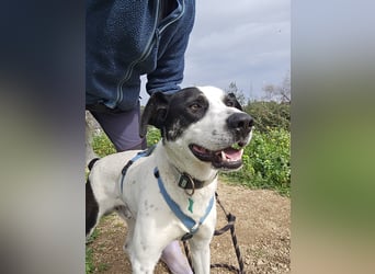 Diddo:  er hatte eine Familie