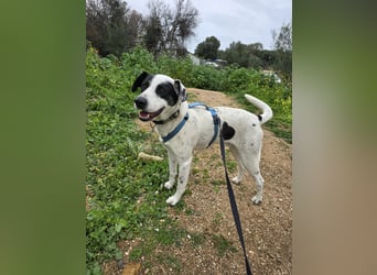 Diddo:  er hatte eine Familie