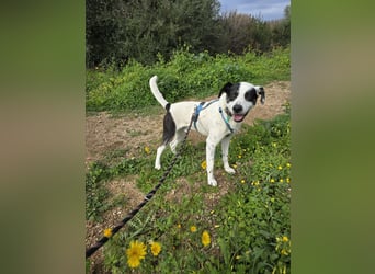 Diddo:  er hatte eine Familie