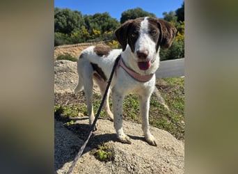 Befanino: ein Unikat zum Verlieben