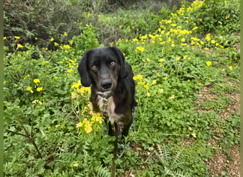 Immo: ein Schatz für die ganze Familie