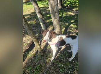 Befanino: ein Unikat zum Verlieben