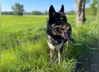 Bruce