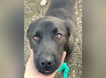 Yana, zarte Schönheit sucht ihre Menschen