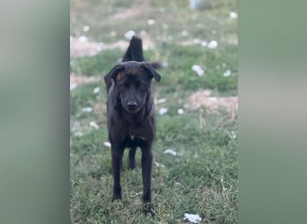 Yana, zarte Schönheit sucht ihre Menschen