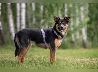 Sensible Lusha sucht ihre Menschen