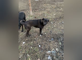 Yana, zarte Schönheit sucht ihre Menschen