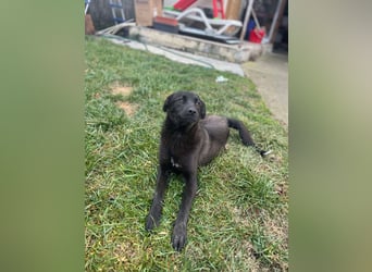 Yana, zarte Schönheit sucht ihre Menschen