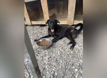 Yana, zarte Schönheit sucht ihre Menschen