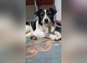 Nitsa - Persönlichkeit mit ❤️ Herz
