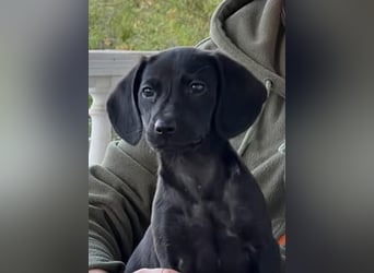 Glückskind Lilly sucht ihre Familie