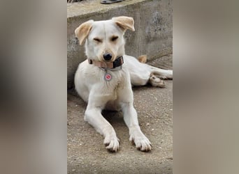 Snow möchte wieder eine Familie