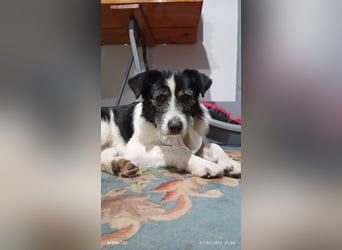 Nitsa - Persönlichkeit mit ❤️ Herz