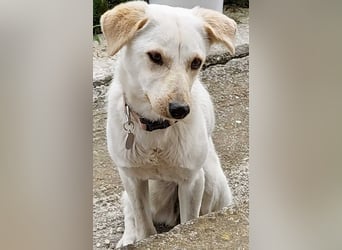 Snow möchte wieder eine Familie