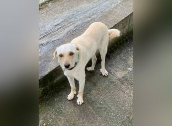 Snow möchte wieder eine Familie