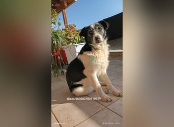 Nitsa - Persönlichkeit mit ❤️ Herz