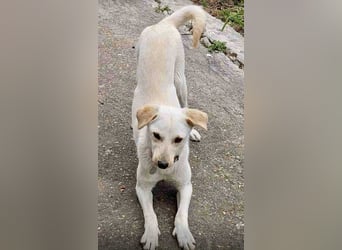 Snow möchte wieder eine Familie