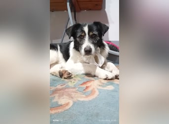 Nitsa - Persönlichkeit mit ❤️ Herz