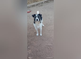 Nitsa - Persönlichkeit mit ❤️ Herz