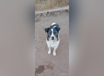 Nitsa - Persönlichkeit mit ❤️ Herz