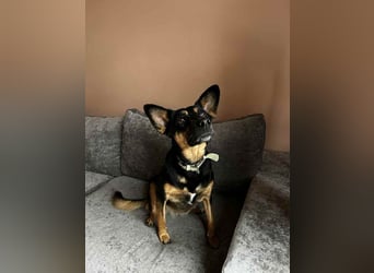 Wunderbare Michelle sucht ihre Menschen