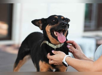 Wunderbare Michelle sucht ihre Menschen