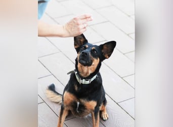 Wunderbare Michelle sucht ihre Menschen