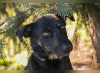 GRACE - ich freue mich auf ein tolles Leben mit meinen Menschen!