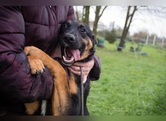 NIA - ich freue mich auf tolle Abenteuer mit meiner Familie!