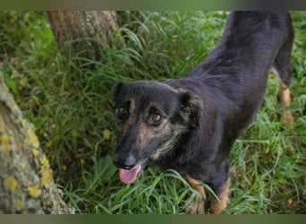 ALANI - die süße Maus ist aktiv, offen, neugierig und lernt sehr gerne!