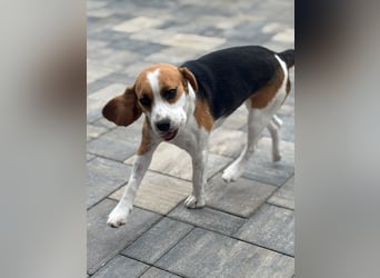 Luna - Ein ganz besonderes Mädchen sucht verständnisvolle Familie