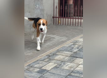 Luna - Ein ganz besonderes Mädchen sucht verständnisvolle Familie