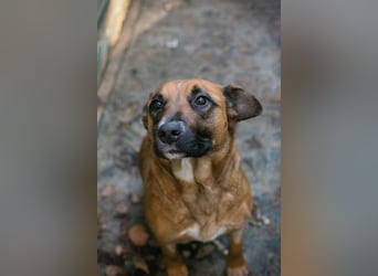 VANILLA - ich freue mich auf ein glückliches Leben bei meiner Familie!