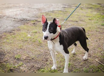 HERA - ich hätte so gerne eine Familie die mich lieb hat...