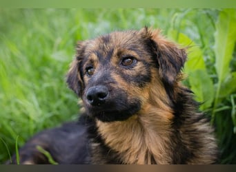SISSY - in dieses hübsche Mädchen kann man sich doch nur verlieben...