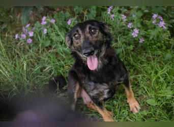 ALANI - die süße Maus ist aktiv, offen, neugierig und lernt sehr gerne!