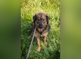 SISSY - in dieses hübsche Mädchen kann man sich doch nur verlieben...