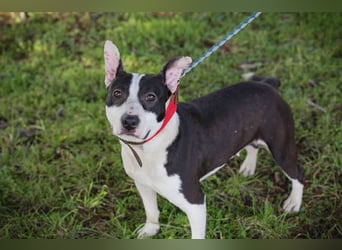 HERA - ich hätte so gerne eine Familie die mich lieb hat...